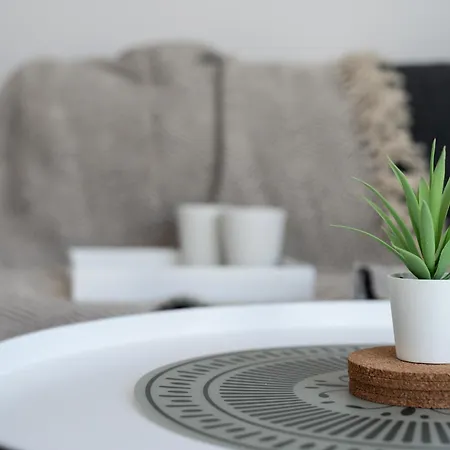 Nap Jachtowa Pod Lasem