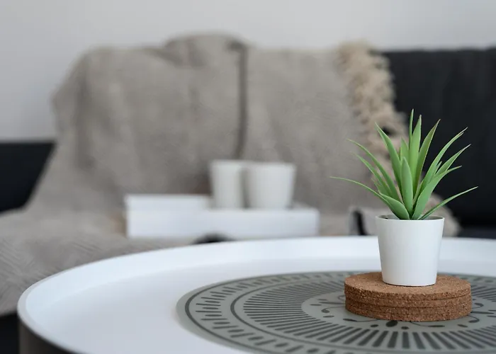 Nap Jachtowa Pod Lasem