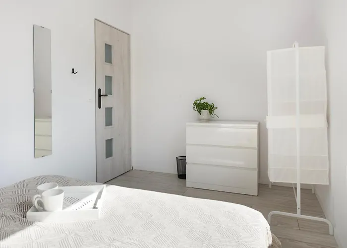 Nap Jachtowa Pod Lasem